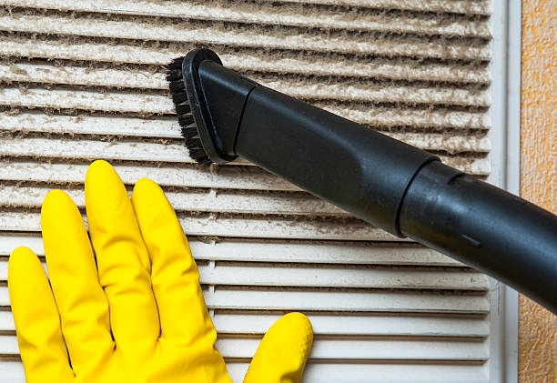 Best HVAC Duct Inspection Services  in Eudora, KS